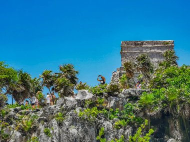 Tulum Meksika 15. Haziran 2022 Antik Tulum, Tulum Meksika 'da tropikal doğal orman palmiyesi ve deniz manzarası üzerindeki kalıntılar ve tapınak kalıntıları ile Maya bölgesini harap etti..