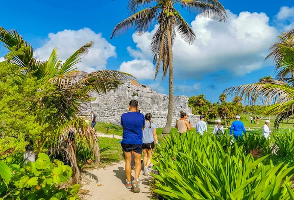 Tulum Mexico June 2022 Ancient Tulum Ruins Mayan Site Temple — Photo