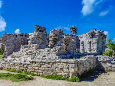 Antik Tulum, Tulum Meksika 'daki tropikal doğal orman palmiyesi ve deniz manzarasında tapınak kalıntıları ve eserlerle Maya bölgesini harabeye çeviriyor..