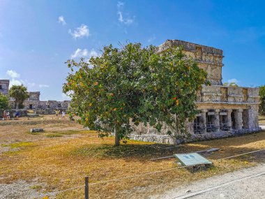 Tulum Meksika 25. Mayıs 2022 'de Antik Tulum, Tulum Meksika' daki tropik doğal orman palmiyesi ve deniz manzarasında tapınak kalıntıları ve eserlerle Maya bölgesini harap etti..