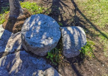 Antik Tulum, Tulum Meksika 'daki tropikal doğal orman palmiyesi ve deniz manzarasında tapınak kalıntıları ve eserlerle Maya bölgesini harabeye çeviriyor..