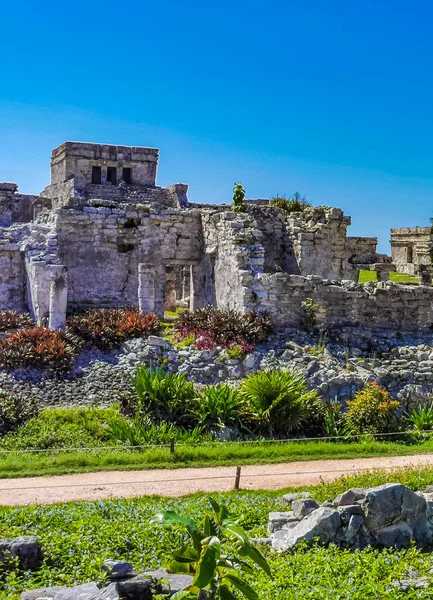 Ancient Tulum Ruins Mayan Site Temple Ruins Pyramids Artifacts Tropical — Fotografia de Stock