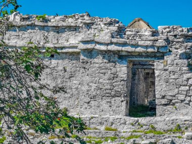 Antik Tulum, Tulum Meksika 'daki tropikal doğal orman palmiyesi ve deniz manzarasında tapınak kalıntıları ve eserlerle Maya bölgesini harabeye çeviriyor..