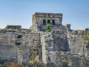 Antik Tulum, Tulum Meksika 'daki tropikal doğal orman palmiyesi ve deniz manzarasında tapınak kalıntıları ve eserlerle Maya bölgesini harabeye çeviriyor..