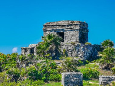 Antik Tulum, Tulum Meksika 'daki tropikal doğal orman palmiyesi ve deniz manzarasında tapınak kalıntıları ve eserlerle Maya bölgesini harabeye çeviriyor..