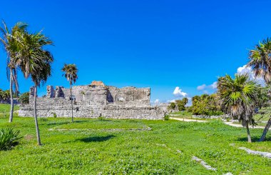 Antik Tulum, Tulum Meksika 'daki tropikal doğal orman palmiyesi ve deniz manzarasında tapınak kalıntıları ve eserlerle Maya bölgesini harabeye çeviriyor..