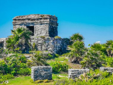 Antik Tulum, Tulum Meksika 'daki tropikal doğal orman palmiyesi ve deniz manzarasında tapınak kalıntıları ve eserlerle Maya bölgesini harabeye çeviriyor..