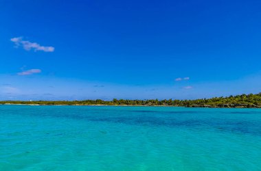 Amazing landscape panorama view with turquoise blue water palm trees blue sky and the natural tropical beach and the forest on the beautiful island of Contoy in Quintana Roo Mexico.