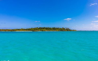 Amazing landscape panorama view with turquoise blue water palm trees blue sky and the natural tropical beach and the forest on the beautiful island of Contoy in Quintana Roo Mexico.
