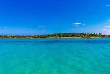 Amazing landscape panorama view with turquoise blue water palm trees blue sky and the natural tropical beach and the forest on the beautiful island of Contoy in Quintana Roo Mexico.