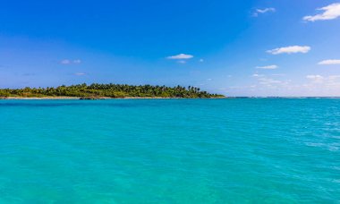 Amazing landscape panorama view with turquoise blue water palm trees blue sky and the natural tropical beach and the forest on the beautiful island of Contoy in Quintana Roo Mexico.