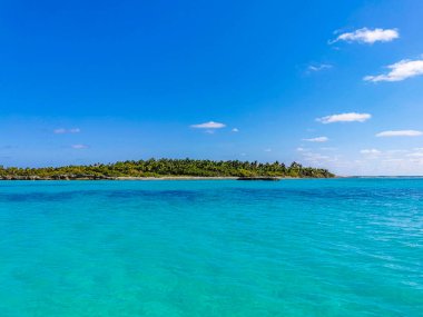 Amazing landscape panorama view with turquoise blue water palm trees blue sky and the natural tropical beach and the forest on the beautiful island of Contoy in Quintana Roo Mexico.