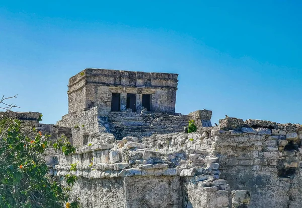 Ancient Tulum Ruins Mayan Site Temple Ruins Pyramids Artifacts Tropical — Fotografia de Stock