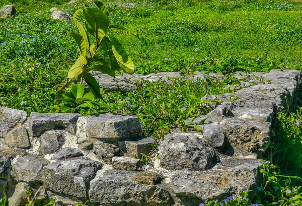 Antike Ruinen Von Tulum Maya Stätte Mit Tempelruinen Pyramiden Und — Stockfoto