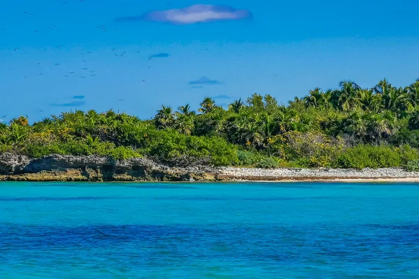 Amazing Landscape Panorama View Turquoise Blue Water Palm Trees Blue — Stockfoto