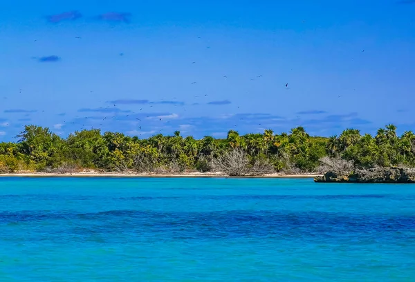 Amazing Landscape Panorama View Turquoise Blue Water Palm Trees Blue — Fotografie, imagine de stoc