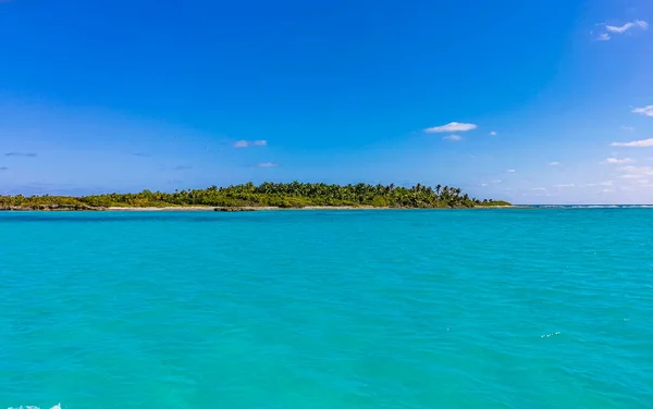 Amazing Landscape Panorama View Turquoise Blue Water Palm Trees Blue — Stok fotoğraf