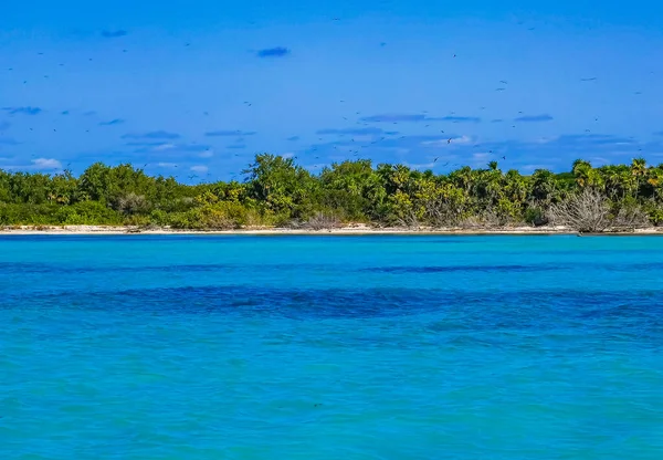 Amazing Landscape Panorama View Turquoise Blue Water Palm Trees Blue — Φωτογραφία Αρχείου