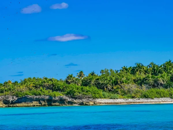 Amazing Landscape Panorama View Turquoise Blue Water Palm Trees Blue — Φωτογραφία Αρχείου