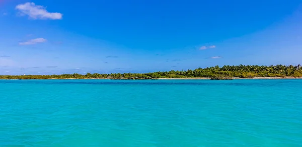 Amazing Landscape Panorama View Turquoise Blue Water Palm Trees Blue — 스톡 사진