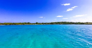 Amazing landscape panorama view with turquoise blue water palm trees blue sky and the natural tropical beach and the forest on the beautiful island of Contoy in Quintana Roo Mexico.