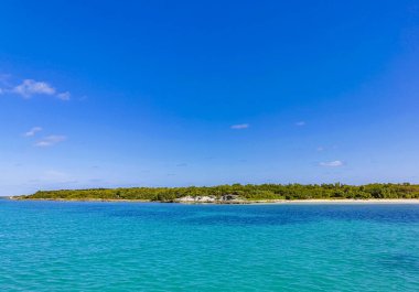 Amazing landscape panorama view with turquoise blue water palm trees blue sky and the natural tropical beach and the forest on the beautiful island of Contoy in Quintana Roo Mexico.