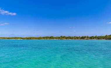 Amazing landscape panorama view with turquoise blue water palm trees blue sky and the natural tropical beach and the forest on the beautiful island of Contoy in Quintana Roo Mexico.