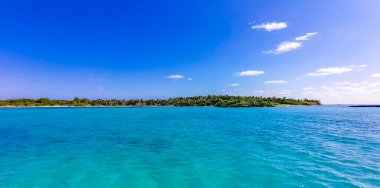 Amazing landscape panorama view with turquoise blue water palm trees blue sky and the natural tropical beach and the forest on the beautiful island of Contoy in Quintana Roo Mexico.