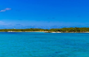 Amazing landscape panorama view with turquoise blue water palm trees blue sky and the natural tropical beach and the forest on the beautiful island of Contoy in Quintana Roo Mexico.