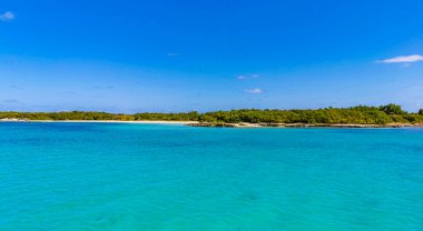 Amazing landscape panorama view with turquoise blue water palm trees blue sky and the natural tropical beach and the forest on the beautiful island of Contoy in Quintana Roo Mexico.