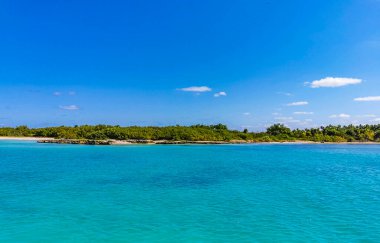 Amazing landscape panorama view with turquoise blue water palm trees blue sky and the natural tropical beach and the forest on the beautiful island of Contoy in Quintana Roo Mexico.