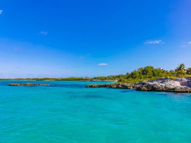 Amazing landscape panorama view with turquoise blue water palm trees blue sky and the natural tropical beach and the forest on the beautiful island of Contoy in Quintana Roo Mexico.
