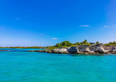 Amazing landscape panorama view with turquoise blue water palm trees blue sky and the natural tropical beach and the forest on the beautiful island of Contoy in Quintana Roo Mexico.