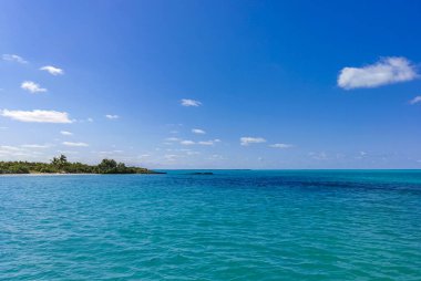 Amazing landscape panorama view with turquoise blue water palm trees blue sky and the natural tropical beach and the forest on the beautiful island of Contoy in Quintana Roo Mexico.