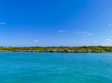 Amazing landscape panorama view with turquoise blue water palm trees blue sky and the natural tropical beach and the forest on the beautiful island of Contoy in Quintana Roo Mexico.