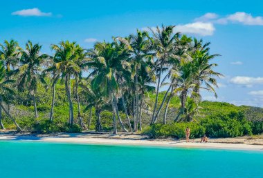 Contoy Mexico 24. February 2022 Amazing landscape panorama turquoise blue water palm trees blue sky the natural tropical beach and the forest on the beautiful island of Contoy in Quintana Roo Mexico.