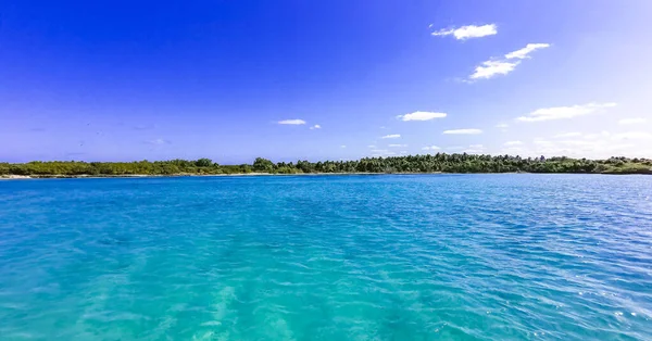 Amazing Landscape Panorama View Turquoise Blue Water Palm Trees Blue — 图库照片