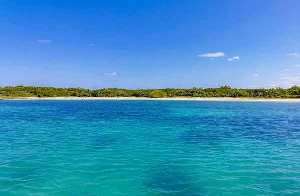 Amazing Landscape Panorama View Turquoise Blue Water Palm Trees Blue — Stok fotoğraf