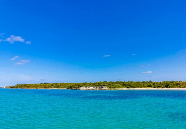 Amazing Landscape Panorama View Turquoise Blue Water Palm Trees Blue — Stok fotoğraf