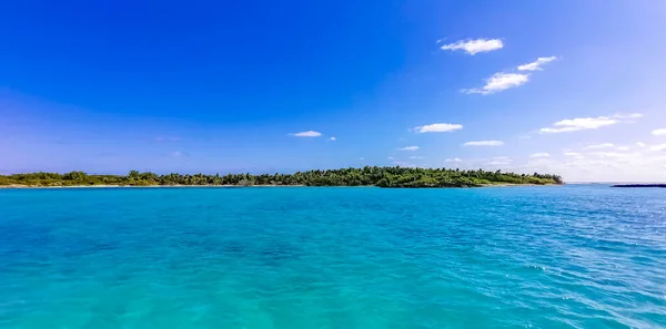 Amazing Landscape Panorama View Turquoise Blue Water Palm Trees Blue — 图库照片