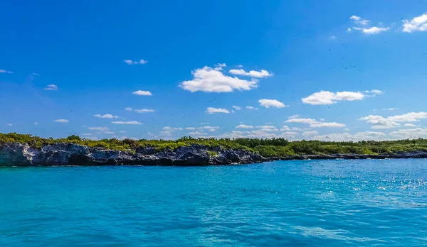 Amazing Landscape Panorama View Turquoise Blue Water Palm Trees Blue — 스톡 사진