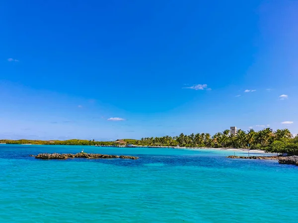Amazing Landscape Panorama View Turquoise Blue Water Palm Trees Blue — Stok fotoğraf