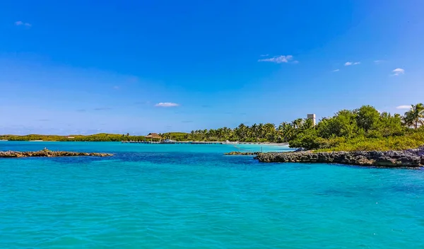 Amazing Landscape Panorama View Turquoise Blue Water Palm Trees Blue — Fotografia de Stock