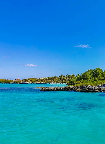 Amazing Landscape Panorama View Turquoise Blue Water Palm Trees Blue — Stockfoto