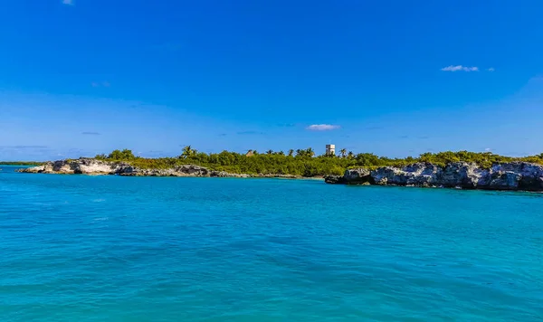 Amazing Landscape Panorama View Turquoise Blue Water Palm Trees Blue — Stock Photo, Image