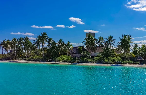 Amazing Landscape Panorama View Turquoise Blue Water Palm Trees Blue —  Fotos de Stock