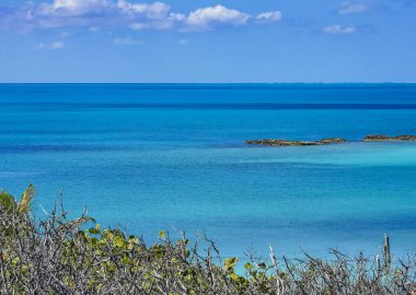 Amazing landscape panorama view with turquoise blue water palm trees blue sky and the natural tropical beach and the forest on the beautiful island of Contoy in Quintana Roo Mexico.