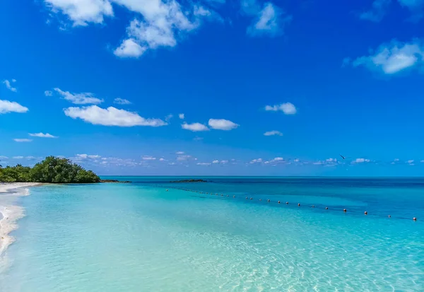 Amazing Landscape Panorama View Turquoise Blue Water Palm Trees Blue — Foto de Stock