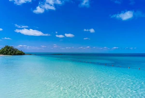 Amazing Landscape Panorama View Turquoise Blue Water Palm Trees Blue — Zdjęcie stockowe