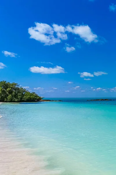 Amazing Landscape Panorama View Turquoise Blue Water Palm Trees Blue — Zdjęcie stockowe